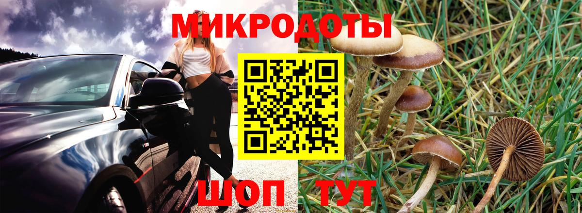 Псилоцибиновые грибы Psilocybe  Вход с VPN  купить  сайты  Будённовск 